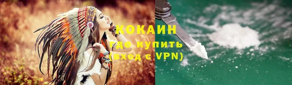 твердый Алексин