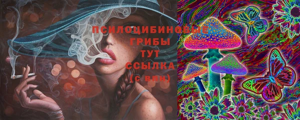крисы Пересвет