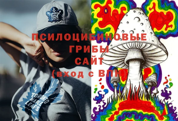 твердый Алексин