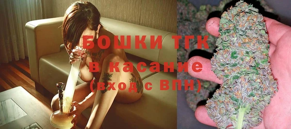 твердый Алексин
