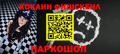 крисы Кулебаки