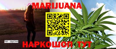 крисы Кулебаки