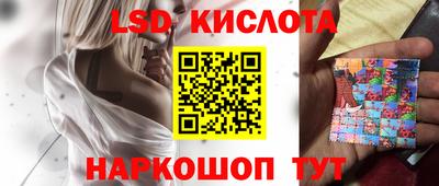 крисы Кулебаки
