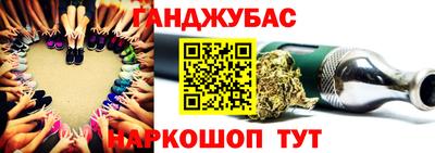 крисы Кулебаки