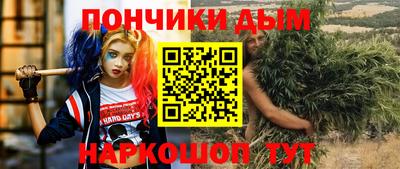 крисы Кулебаки